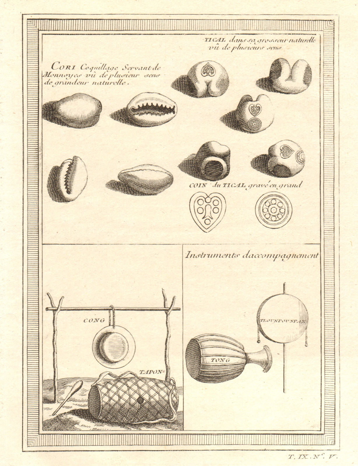 Thailand Siam Cowrie shells used as money Tical (Thai Baht) currency. Drums 1751